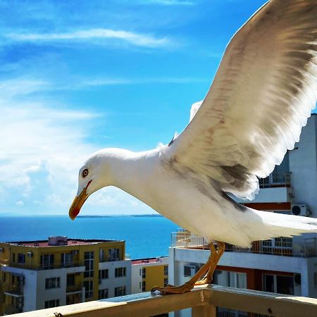 Sea View Panoramic Apartments, Fort Noks Crown Club Sveti Vlas Exterior foto