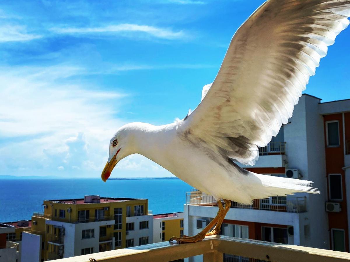 Sea View Panoramic Apartments, Fort Noks Crown Club Sveti Vlas Exterior foto
